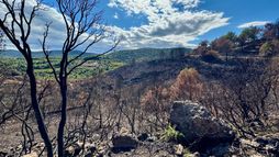 Incendies, innover pour mieux lutter