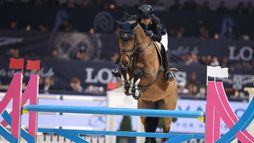 Stuttgart | Saut d'obstacles