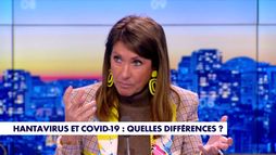 La chronique santé : «Hantavirus et Covid-19 : quelles différences ?»