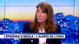 La chronique santé : l'épidémie d'Ebola, l'alerte de l'OMS