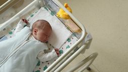 Les politiques de natalité en Hongrie