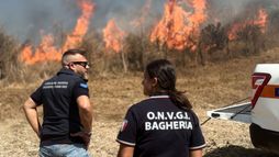 Sicile : à qui profitent les incendies ?