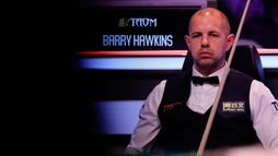 Barry Hawkins - Ding Junhui
