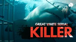 Grand blanc : tueur en série