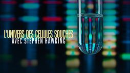 L'univers des cellules souches avec Stephen Hawking