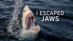 Les Dents de la mort