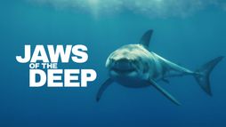 Prédateurs des profondeurs