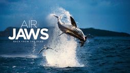 Air Jaws : le retour