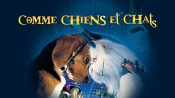Comme chiens et chats