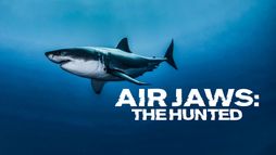 Air Jaws : proie ou prédateur ?