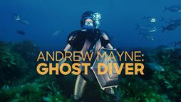 Ghost Diver : invisible parmi les requins