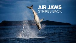 Air Jaws contre-attaque