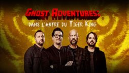 Dans l'antre du Tiger King