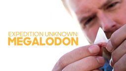 Expedition Unknown : Megalodon