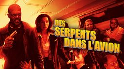 DES SERPENTS DANS L'AVION