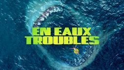 En eaux troubles