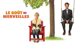 Le goût des merveilles