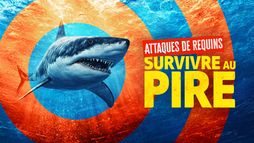 Attaques de requins : survivre au pire