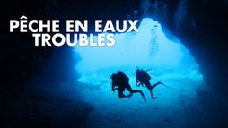 Pêche en eaux troubles