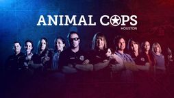 Animal Cops