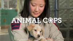 Animal Cops