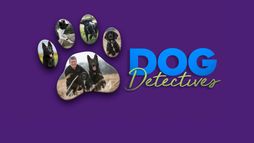 Au cœur des brigades canines