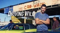 Elvis : le King du moteur