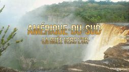 Amérique du Sud : la ruée vers l'or