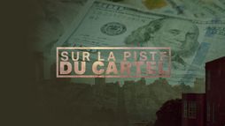 Sur la piste du cartel