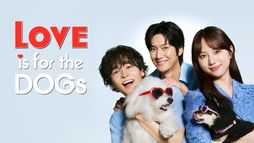 Love is for the Dogs