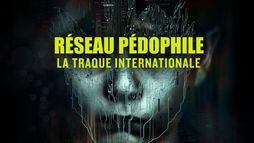 Réseau pédophile : la traque internationale