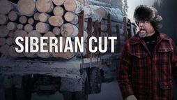 Siberian Cut