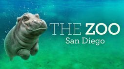 Le zoo de San Diego