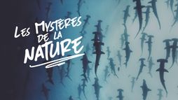 Les mystères de la nature