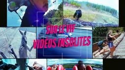 Sur le vif : vidéos insolites