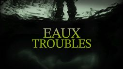 Eaux troubles