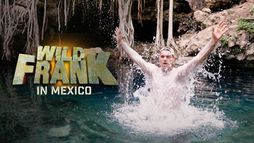 Wild Frank in Mexico