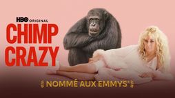 Chimp Crazy