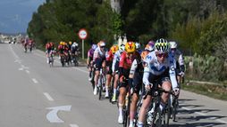 Trofeo Binissalem Andratx (F)