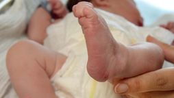 Pourquoi le gouvernement veut-il que l'on fasse des bébés ?