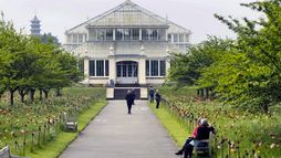 Les jardins botaniques : Un sanctuaire pour la flore