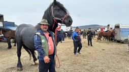 Roumanie : les marchés aux chevaux contestés,