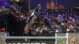 Saut d'obstacles | Los Angeles