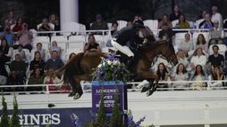 Ocala | Saut d'obstacles