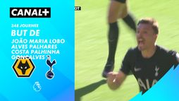 Le but de João Maria Lobo Alves Palhares Costa Palhinha Gonçalves contre Wolverhampton (82')
