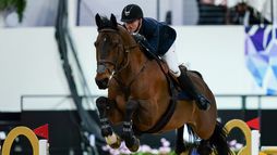 Saint-Tropez | Saut d'obstacles
