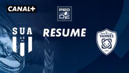 Le résumé de Agen / Vannes