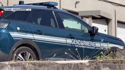 Narcotrafic : un vaste réseau démantelé entre Cannes et Antibes
