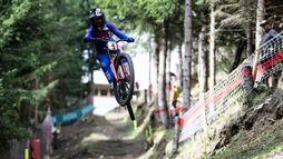Championnats du monde | Descente Elite (F)