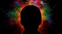Enter The Void